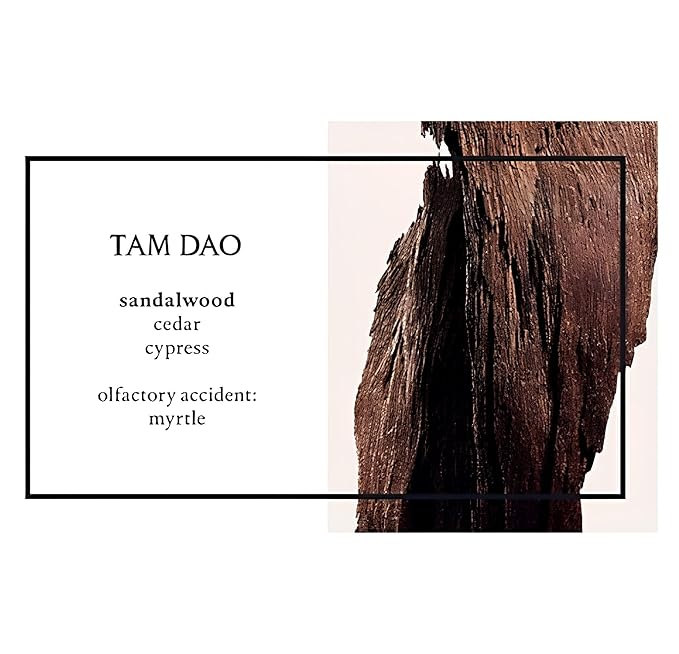  Diptyque - Tam Dao 100ML EDT 